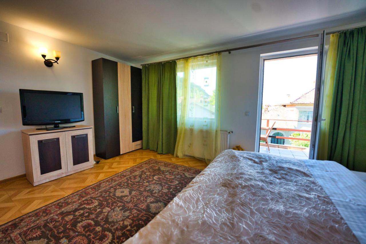 Vila Victoria Râmnicu Vâlcea Kültér fotó