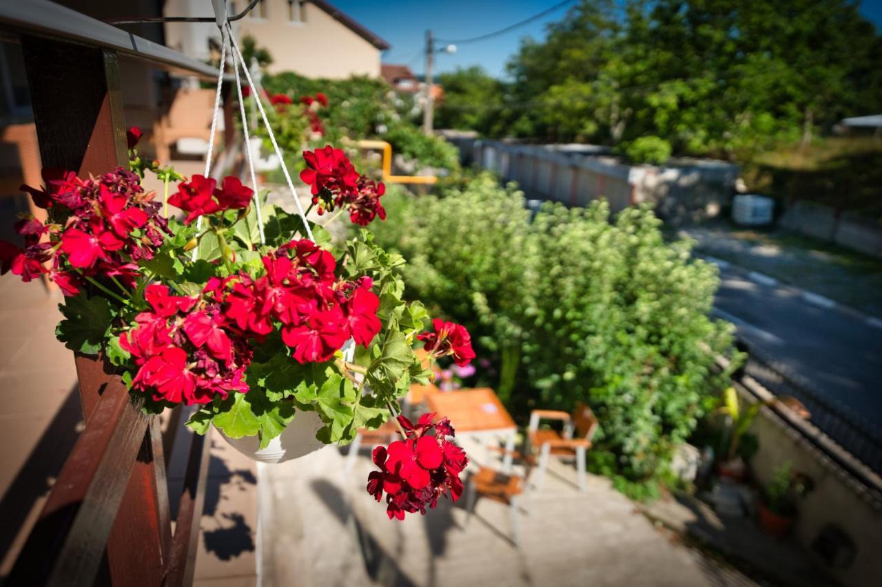 Vila Victoria Râmnicu Vâlcea Kültér fotó