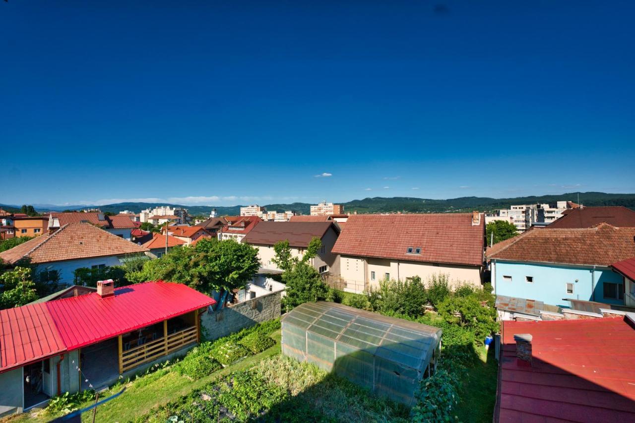 Vila Victoria Râmnicu Vâlcea Kültér fotó