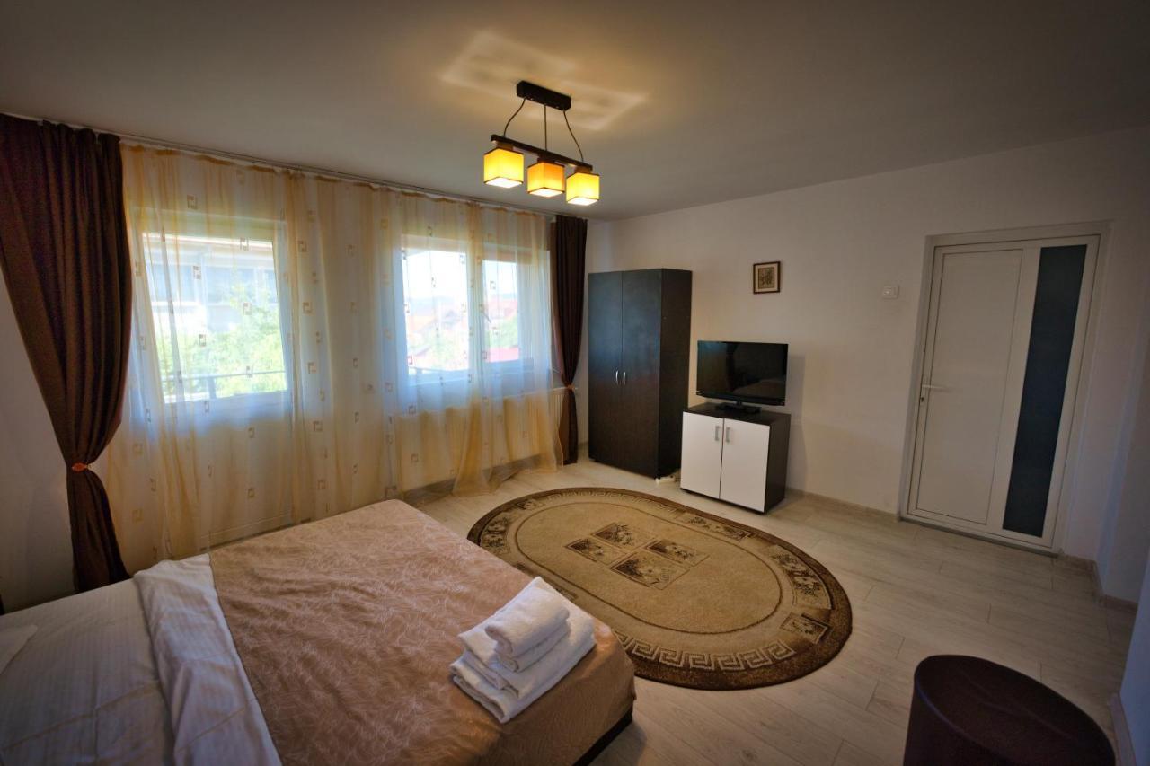 Vila Victoria Râmnicu Vâlcea Kültér fotó