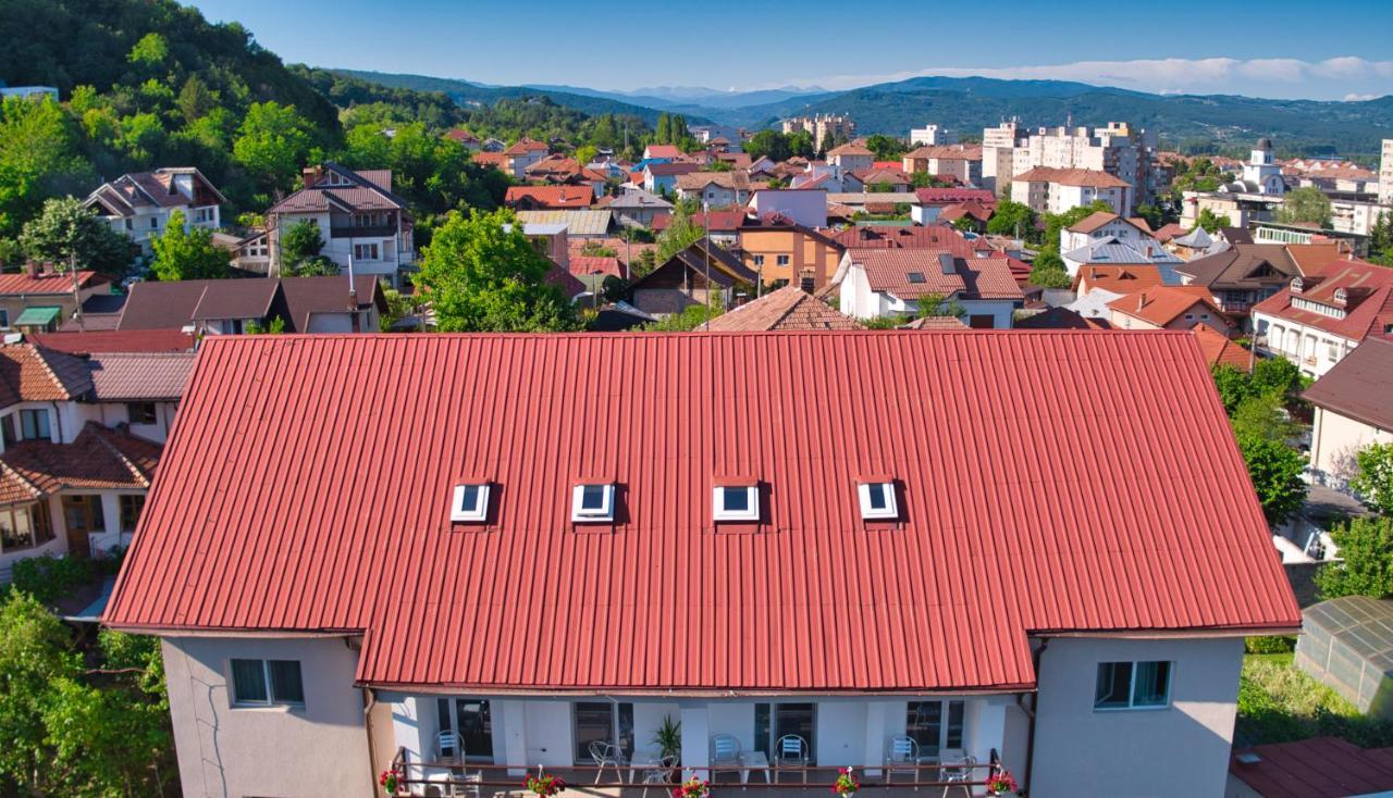 Vila Victoria Râmnicu Vâlcea Kültér fotó