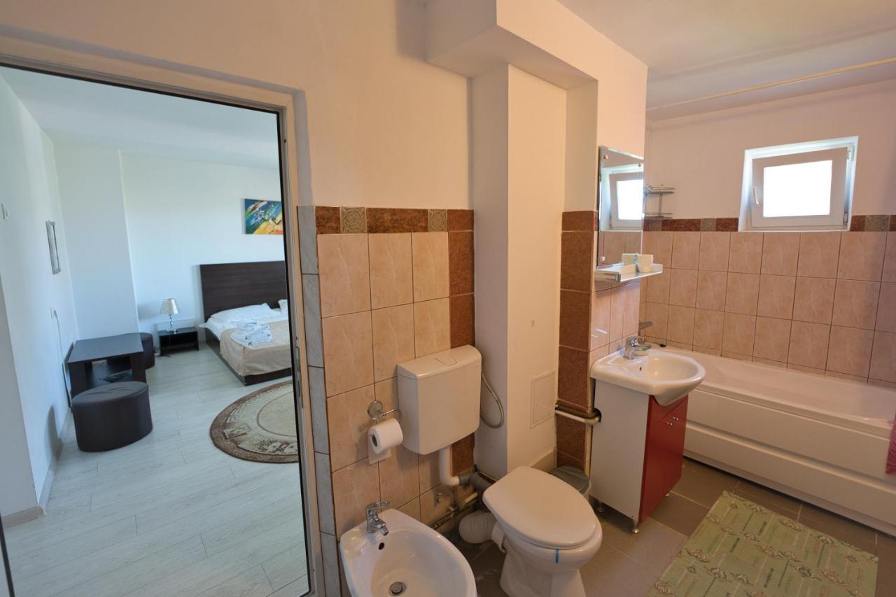 Vila Victoria Râmnicu Vâlcea Kültér fotó
