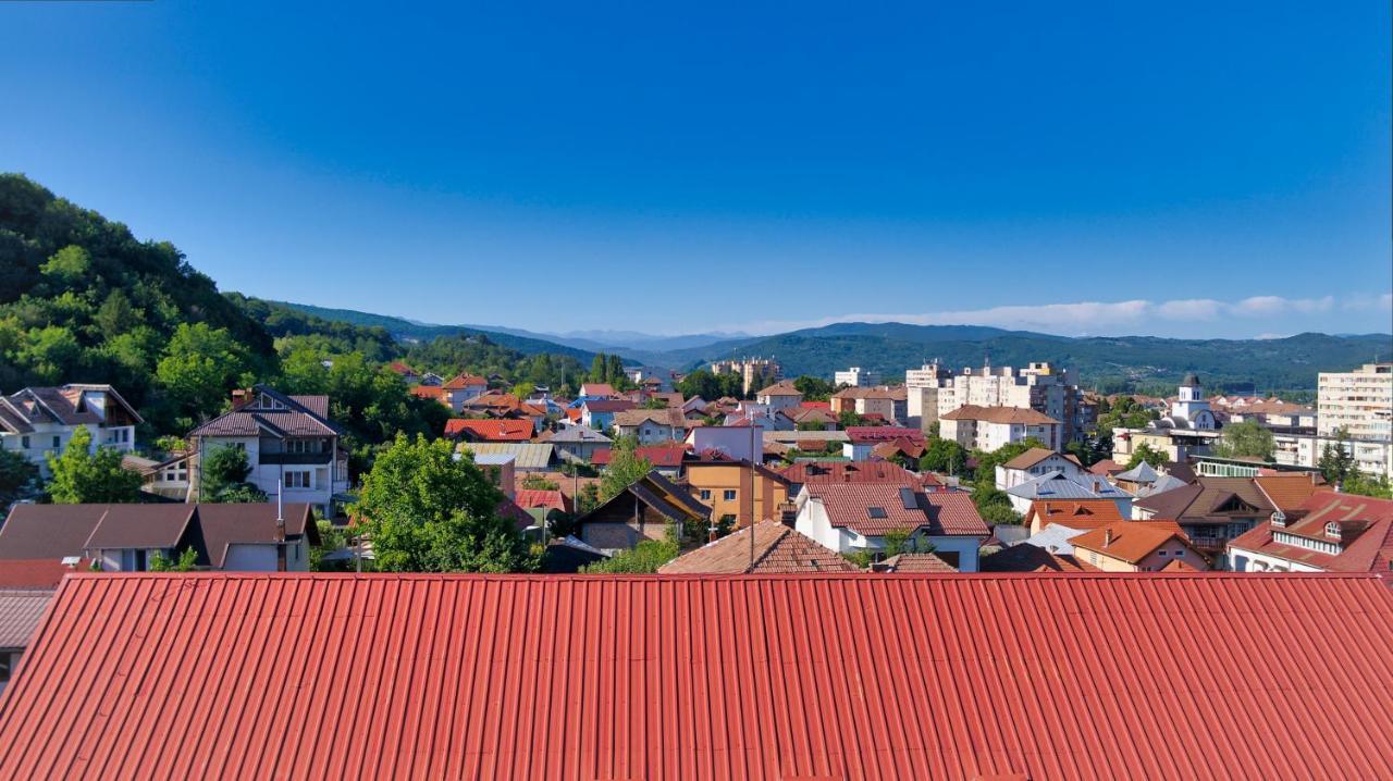 Vila Victoria Râmnicu Vâlcea Kültér fotó