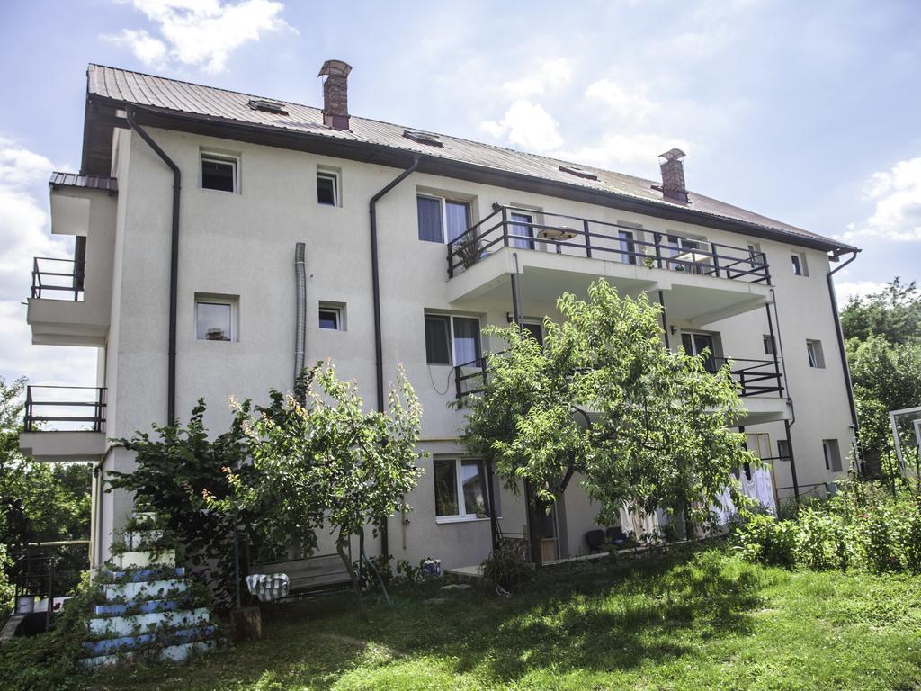 Vila Victoria Râmnicu Vâlcea Kültér fotó