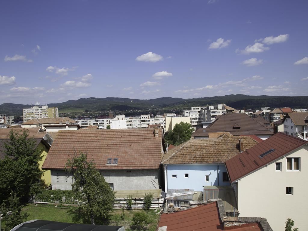 Vila Victoria Râmnicu Vâlcea Kültér fotó