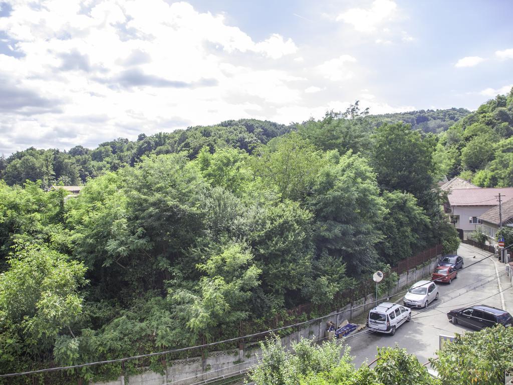 Vila Victoria Râmnicu Vâlcea Kültér fotó