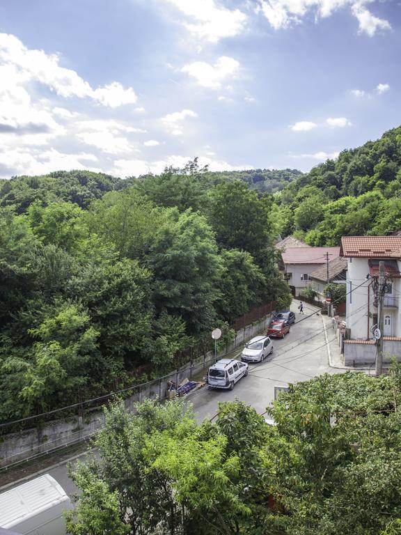 Vila Victoria Râmnicu Vâlcea Kültér fotó